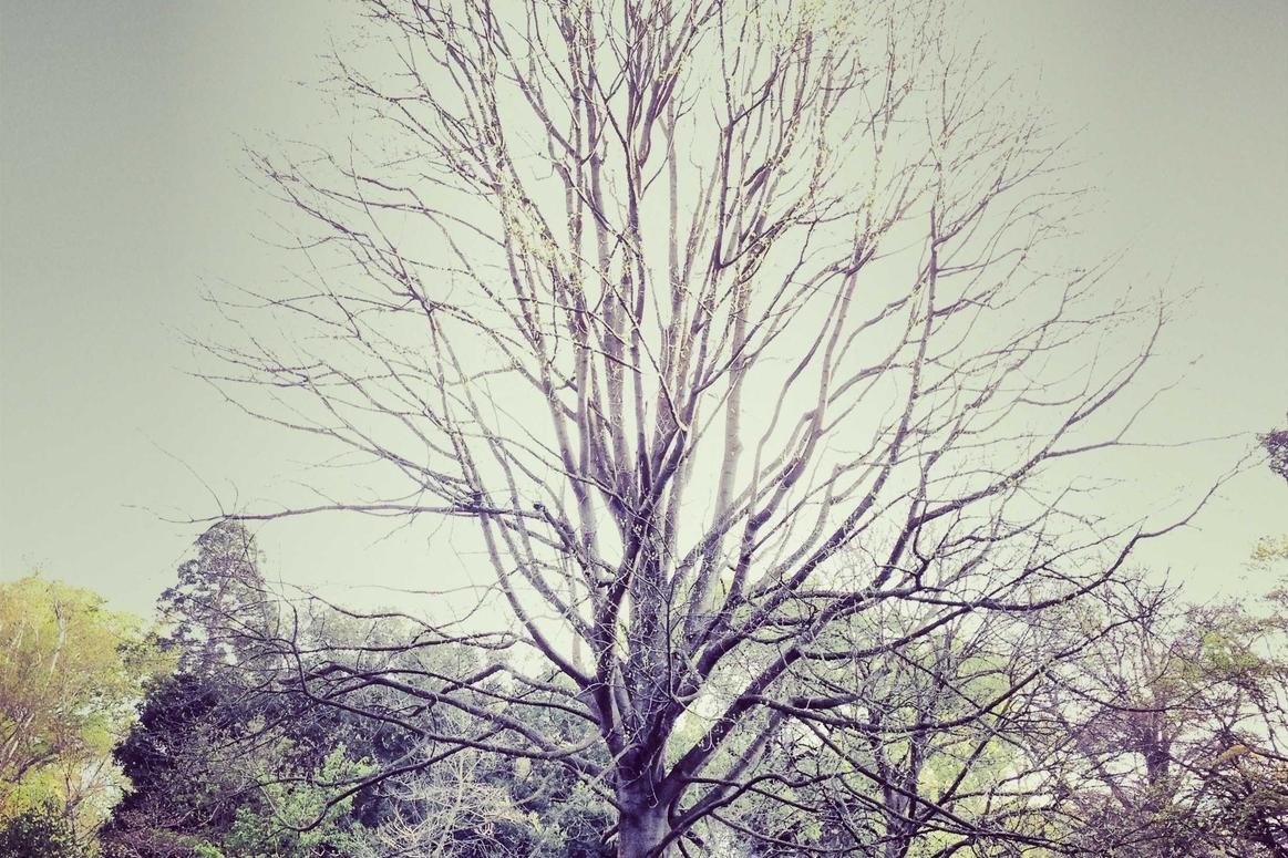 Qui autem illum aut vel est nulla libero harum adipisci eius